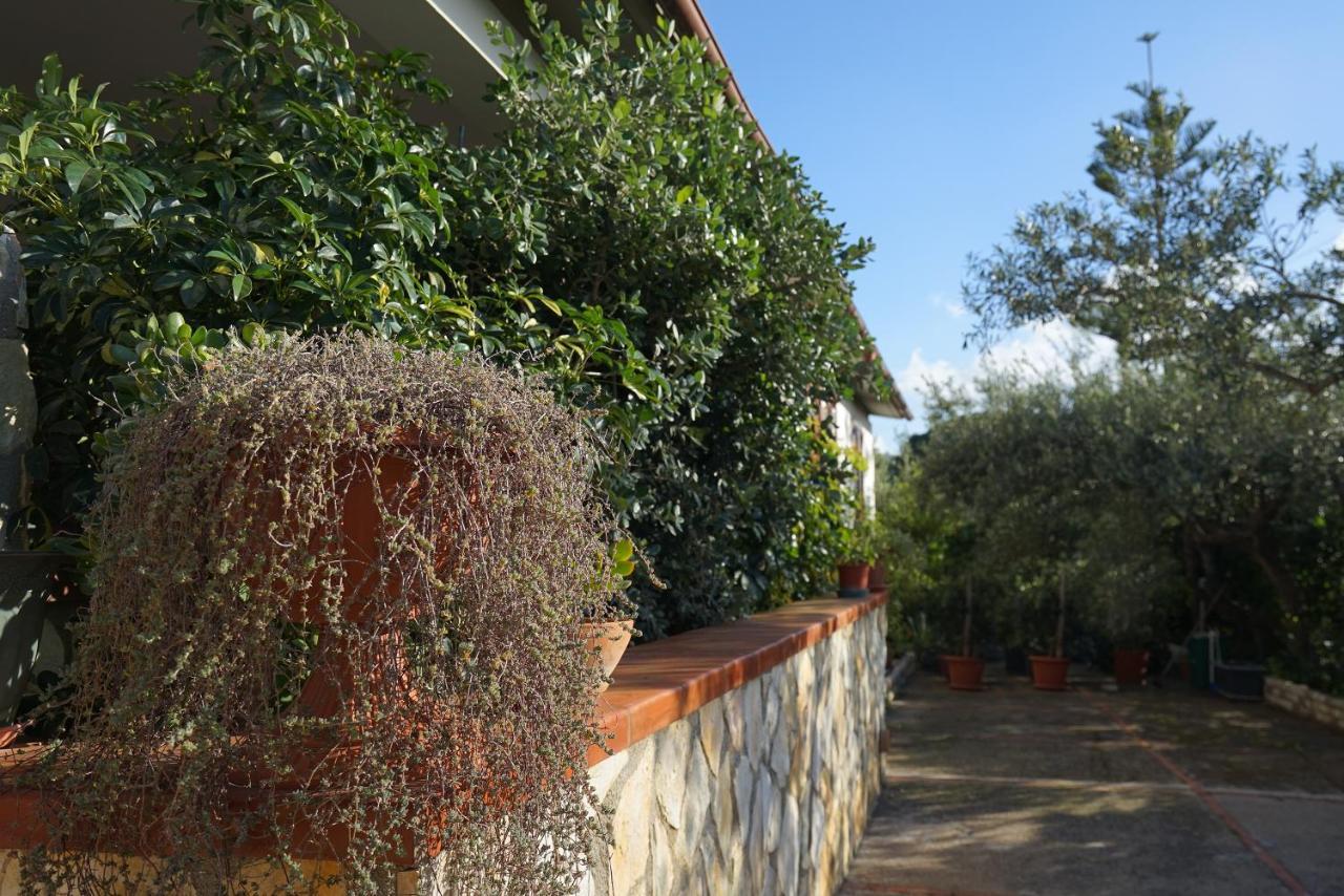 Villa Caterina Scopello Scopello  Exteriör bild